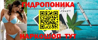 ECSTASY Ливны